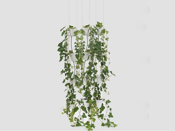 WINDOW GARDEN PENDANT - Porcelain vase system for hydroponic cultivation by Danese Milano - view 2